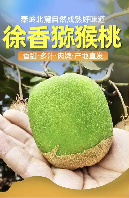 正宗陕西徐香猕猴桃奇异果新鲜维C水果 绿心奇异果香甜多汁