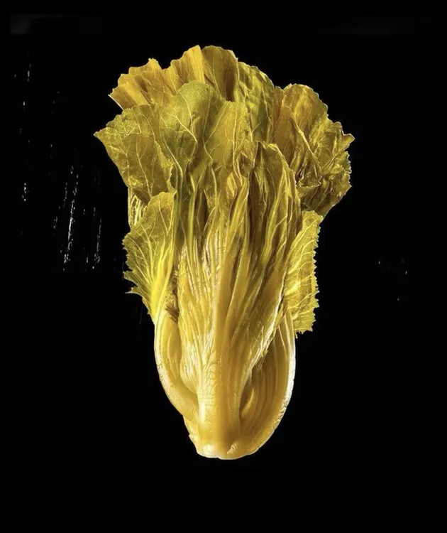 特色酸菜老坛酸菜大缸发酵酸鲜脆爽地道农家美味酸浸缸连州酸浸缸