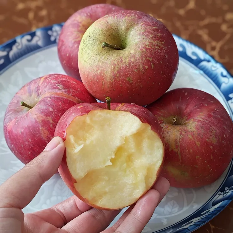 云南昭通正宗丑苹果新鲜现摘现发冰糖心脆甜耀眼多汁应季水果老人
