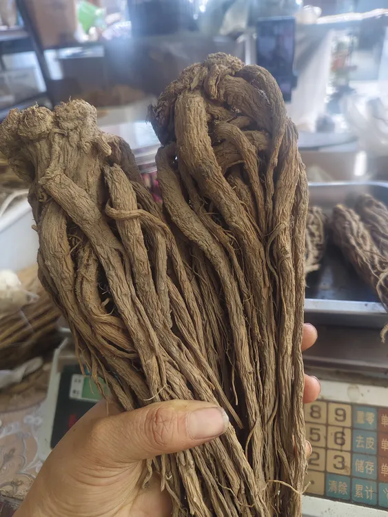 当归甘肃当归 自然晒干
