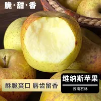 【顺丰包邮】云南黄金维纳斯苹果香甜酥脆唇齿留香新鲜采摘产地直发