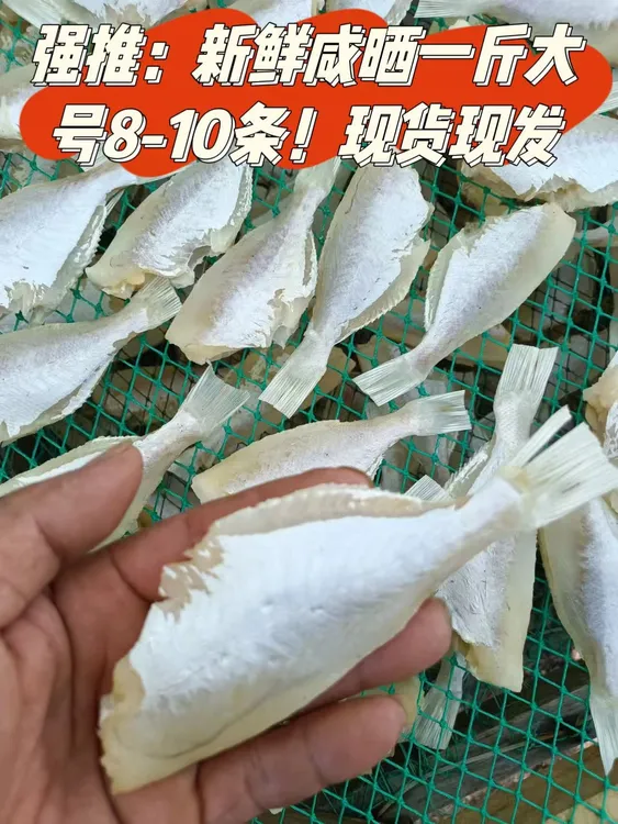 北海特产新鲜咸晒剥皮扒皮鱼大眼鸡鱼干批发剥皮鱼海鲢鱼红目鱼