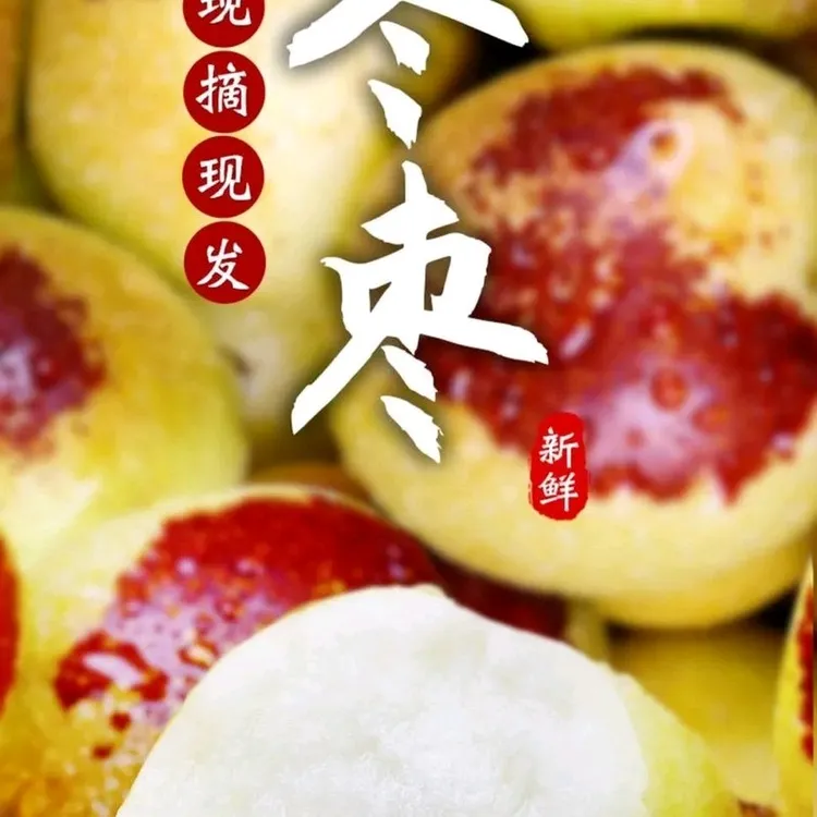沾化冬枣脆甜多汁现摘现发五斤包邮精品