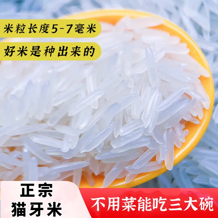 猫牙米10斤5斤25新米长粒香大米现磨梯田米农家新大米超长粒香米