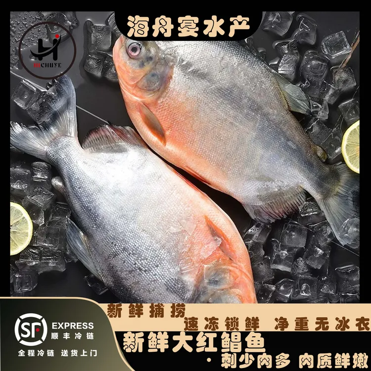 【顺丰冷链】鲜活速冻 大号红鲳鱼 无冰衣 肉厚刺少  450g-550g/条 
