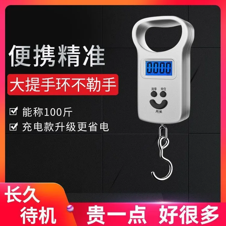 迷你手提电子秤小型手持式弹簧秤50kg便携式高精度家用快递称小秤