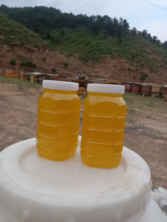 安泽大山深处五倍子蜂蜜，42度蜂蜜4斤