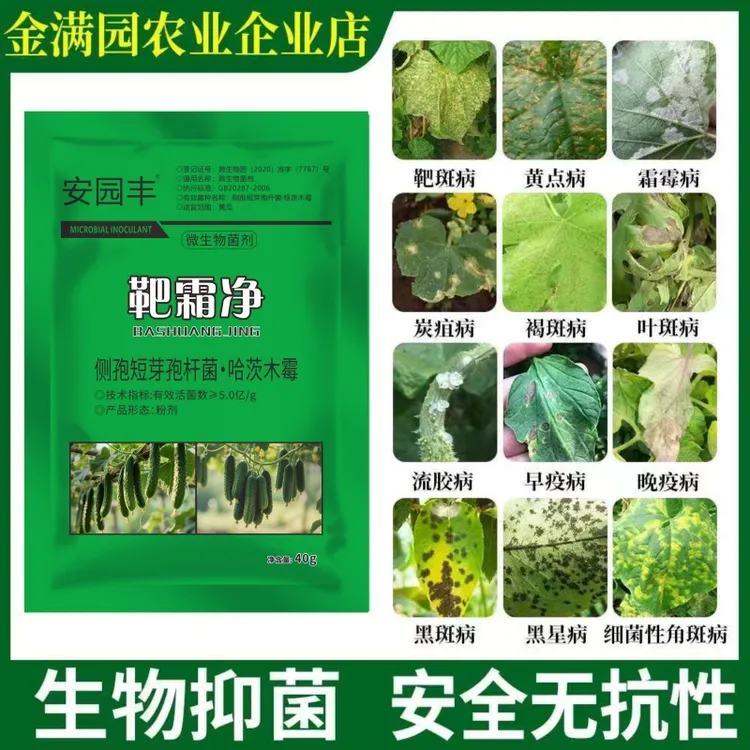 靶霜净靶斑黄点霜霉叶斑流胶细菌性角斑黑星微生物菌剂蔬菜农用肥