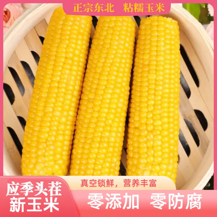 【宠粉】【8个三白三黄二段】黄糯白糯香甜软糯东北糯玉米甜糯玉米