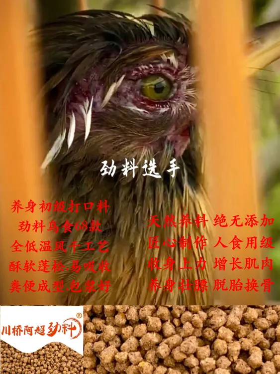 劲料鸟食68款.画眉鸟鸟食饲料.画眉打口料.画眉鸟提性壮膘饲料
