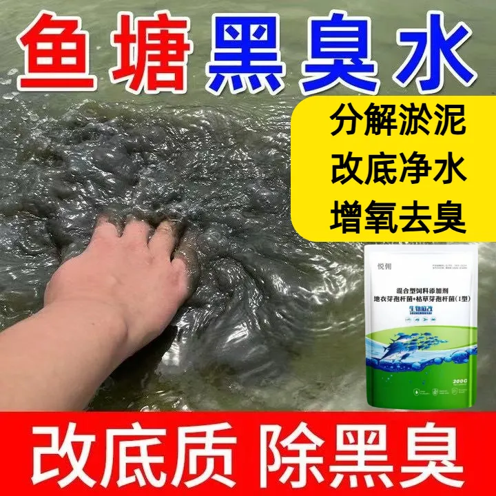 生物底改净水产养殖用鱼虾蟹塘改底除臭分解底泥调节水质改善水质