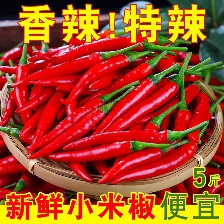 新鲜现摘特辣小米椒可做餐饮调味的蔬菜辣椒朝天椒泡椒剁椒