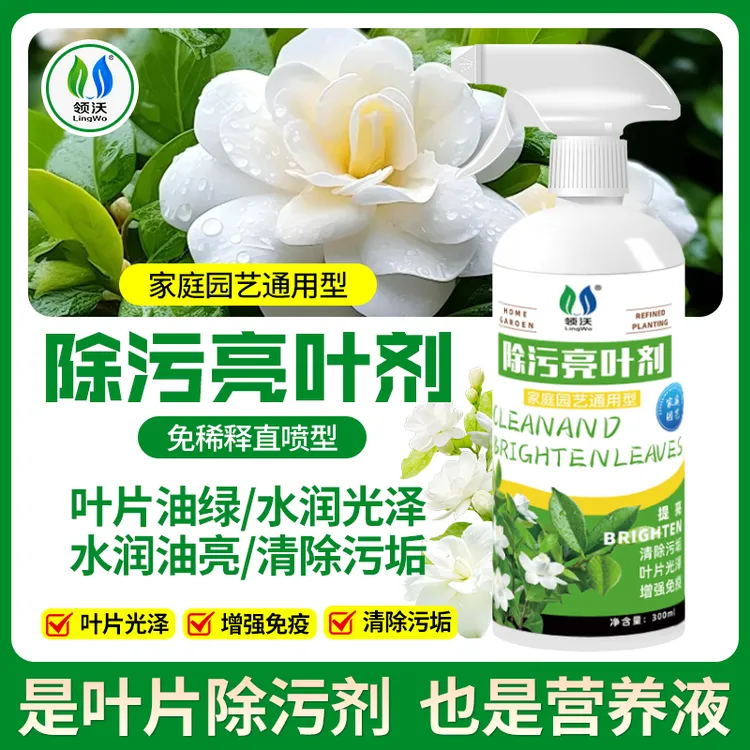 【清洁叶片污垢】除污亮叶剂绿植营养液洗剂发财树金钱树幸福树通用