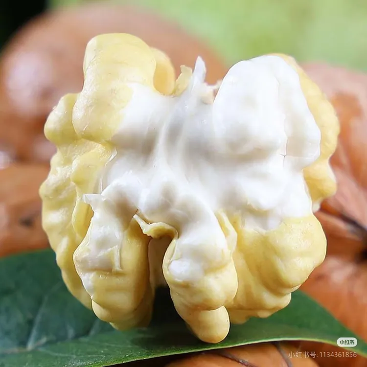 云南保山高山老树新鲜去青皮薄壳脆嫩多汁核桃鲜核桃现摘现发