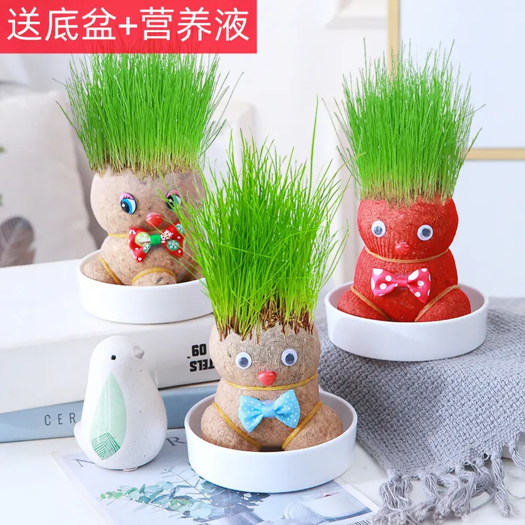 草娃娃绿植桌面水培好养长草植物幼儿园盆栽小摆件手工