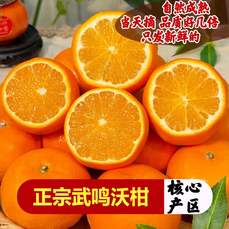 【正宗武鸣沃柑】新鲜当季水果柑橘香甜多汁头茬鲜果产地直发