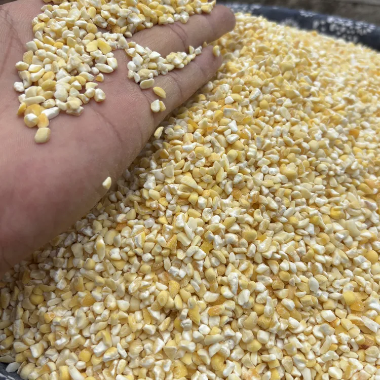 【香糯玉米碴】玉米米饭伴侣 当即新粮 玉米碴子 粘玉米碴子小颗粒