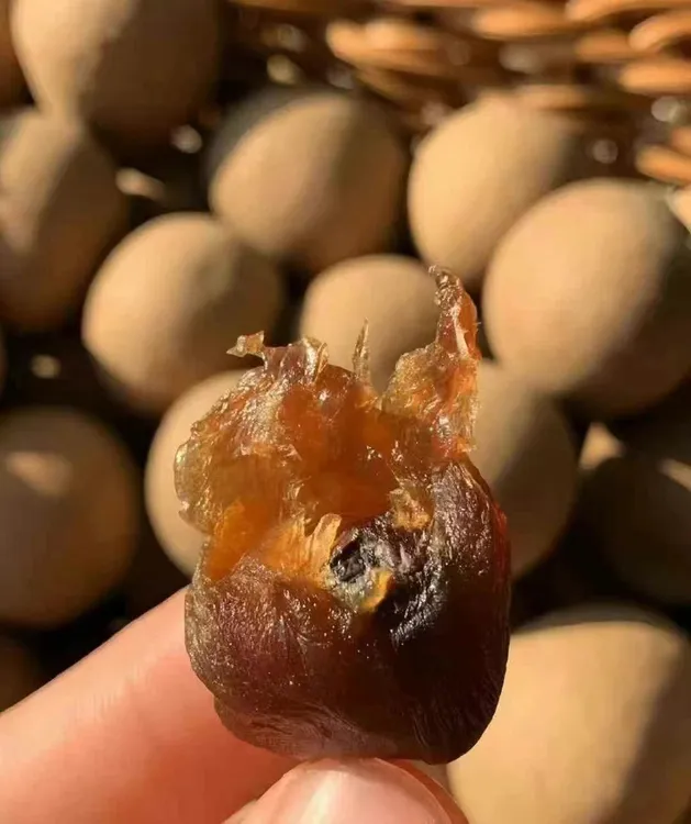 陈斌推荐当季桂圆干新货大号龙眼干带壳皮薄肉厚