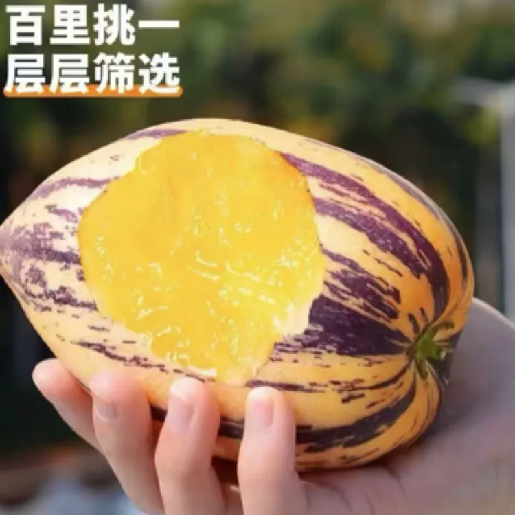 【沙漠水果大果】清泉人参果金黄肉清甜多汁低糖新鲜孕妇儿童果现摘