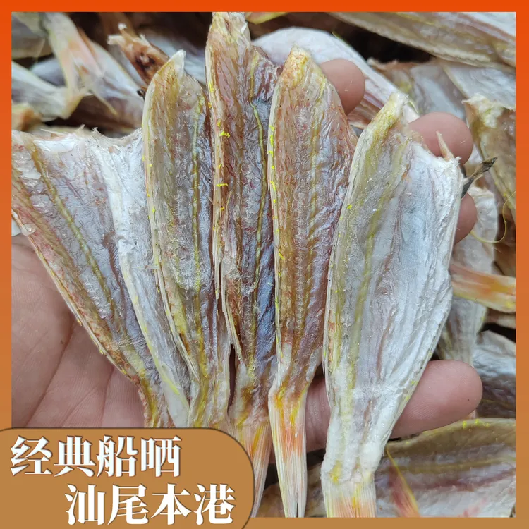 广东汕尾本港真宗钓李脯去头生晒金线鱼干刀鲤鲜晒鲜味十足无异味