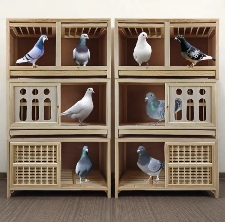 鸽子养殖专用笼子