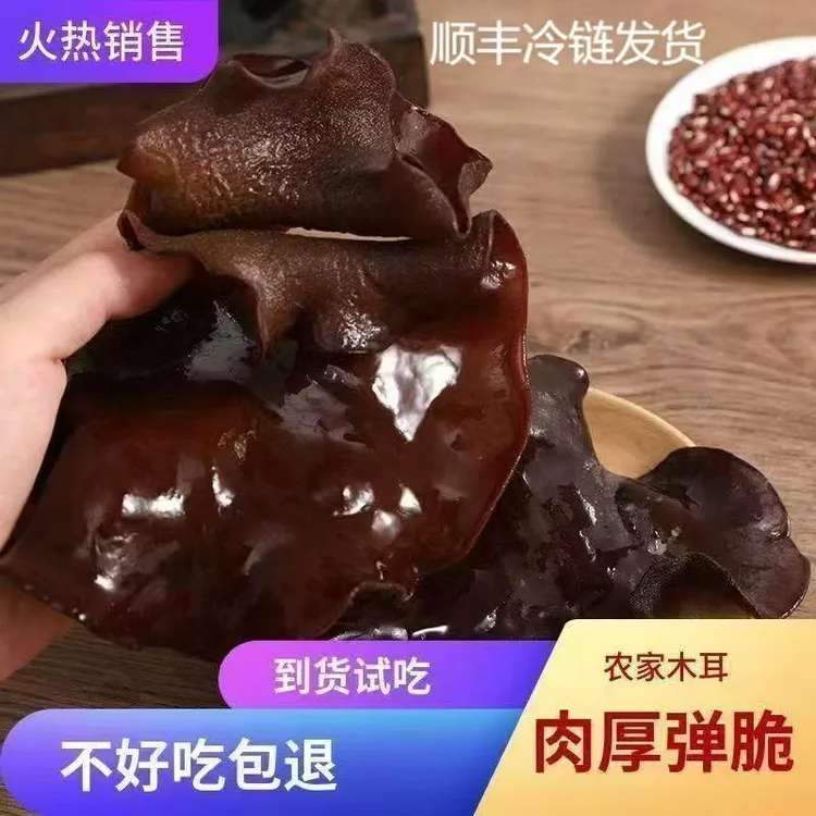 【现采现摘】黑木耳鲜货可用于煲汤炒菜煮火锅的农家特产顺丰到家