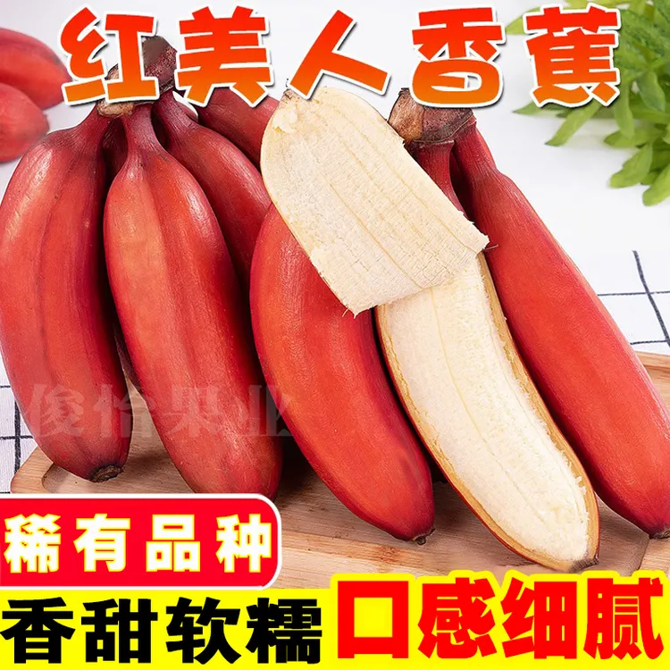 正宗广西红美人香蕉美人蕉产地直发3/5/9斤咖啡甜蕉当季新鲜水果