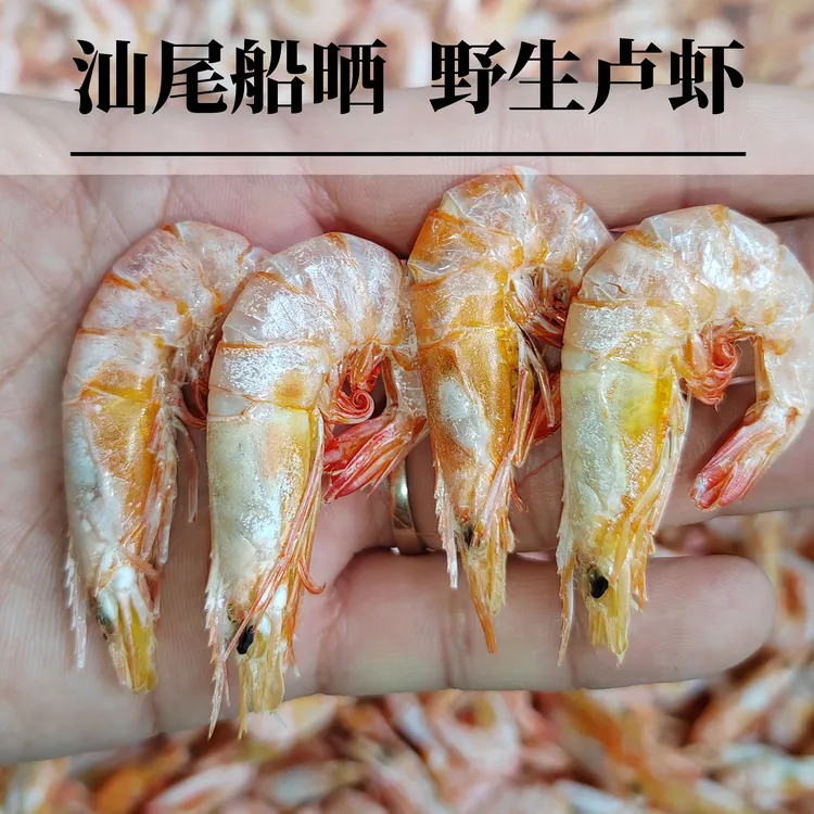 ]广东汕尾港卢虾脯红须虾足干鲜甜煲粥干货