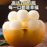 秋月梨正宗秋月梨现摘现发脆甜多汁当季应季水果