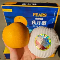 当季新鲜羊脂秋月梨脆甜梨 净重7斤/8粒装 礼盒 顺/京