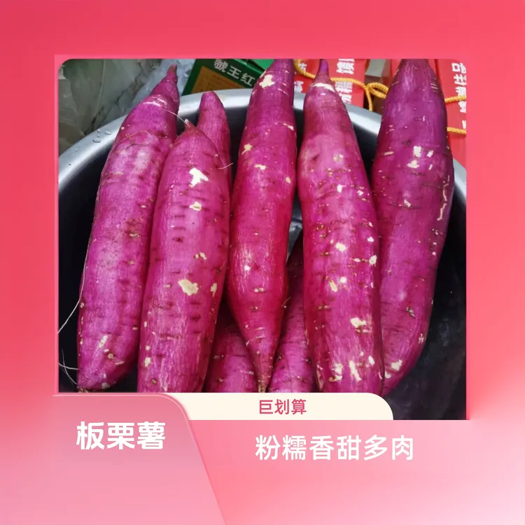 宝鸡虢王板栗薯紫红皮黄白壤甘绵甜无丝味似板栗现挖现发2.5至5kg