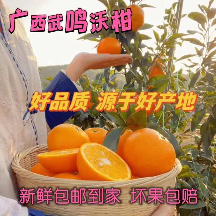 广西武鸣沃柑香甜爆汁产地直发新鲜速达，皮薄多汁！！