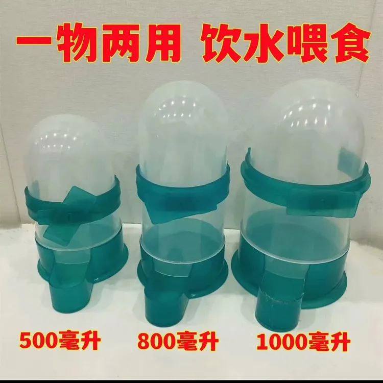 鸽子喂水喂食一款多用杯自动下鸽粮