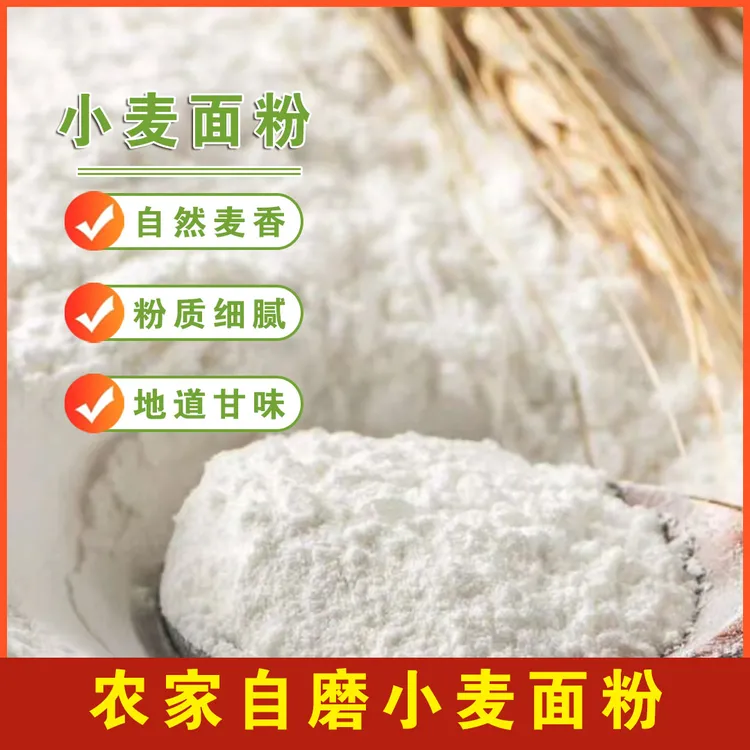 甘肃会宁旱地种植冬小麦自磨面粉