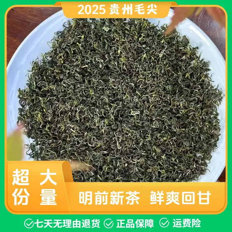 贵州毛尖2025新茶贵州高山云雾绿茶浓香型豆香味茶叶500g