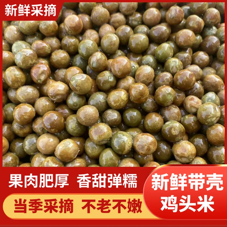 安徽新鲜带壳二青二级鸡头果颗颗饱满软糯清甜芡实产地直发