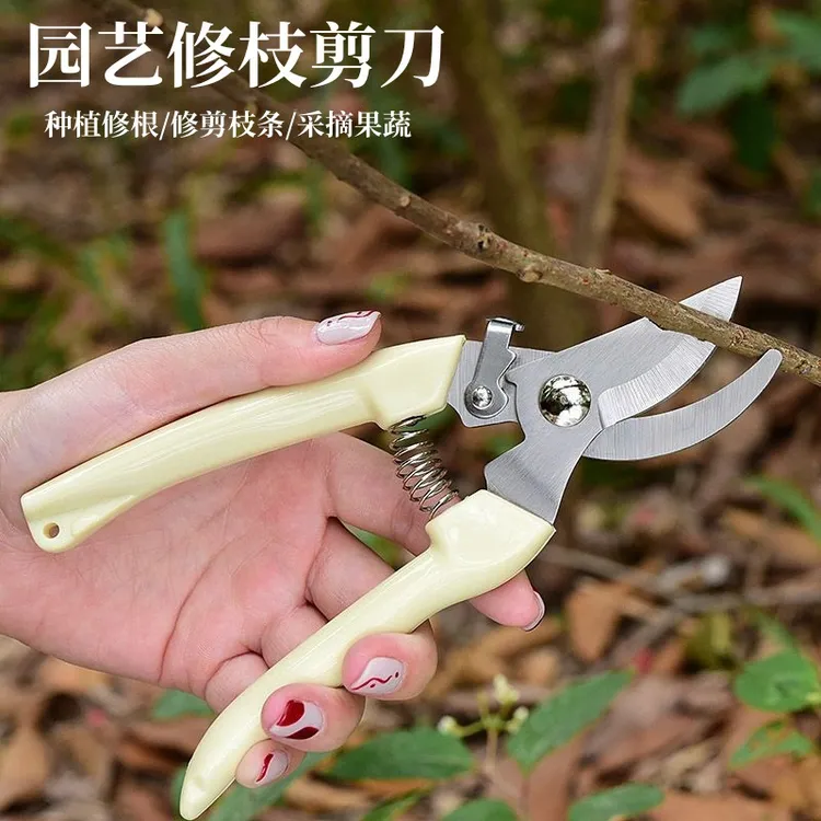 家用花卉摘果剪树枝剪刀果树剪刀修枝神器剪绿化嫁接园林园艺剪刀