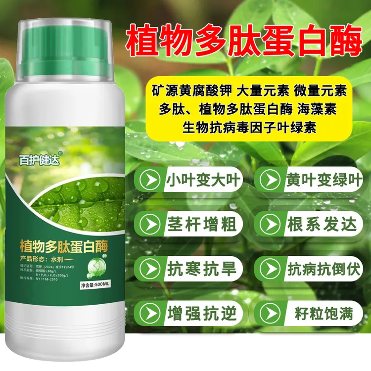 大蒜小麦干尖黄叶叶面肥含腐植酸水溶肥料返青壮苗治黄化