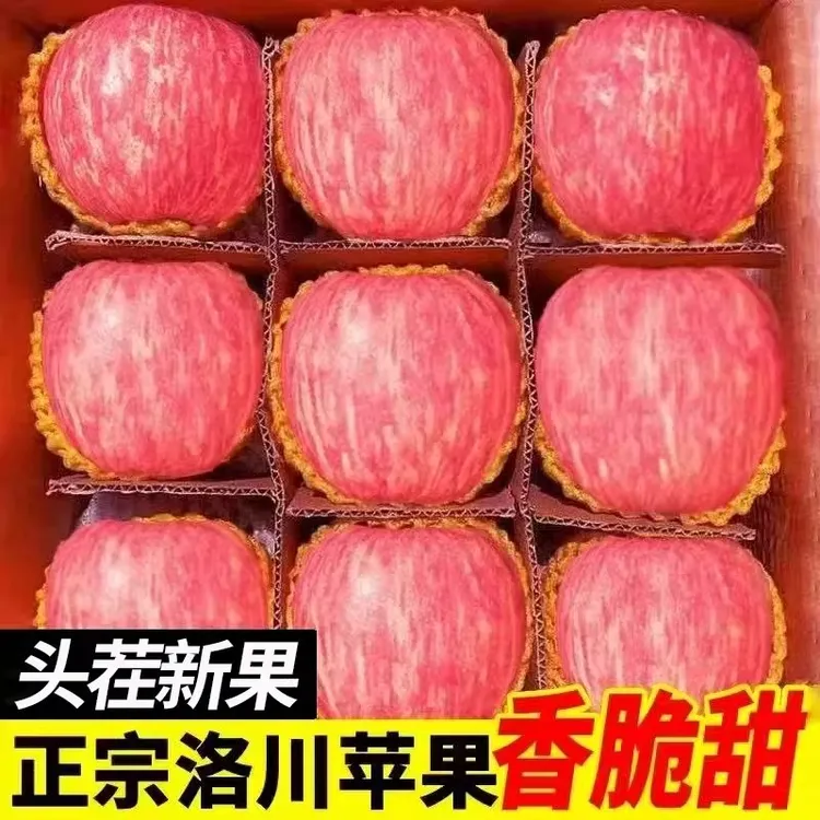 果臻甜2025洛川红富士苹果陕西正宗产地直发水果新鲜整箱包脆A