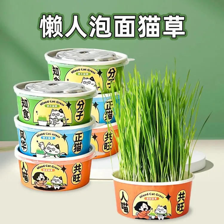 猫草盆栽懒人种植猫草杯猫草种子猫薄荷化毛自种猫草零食品泡面草