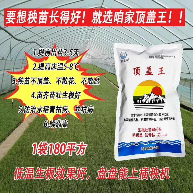 【拍五赠一】顶盖王微生物菌剂生根壮苗解药害