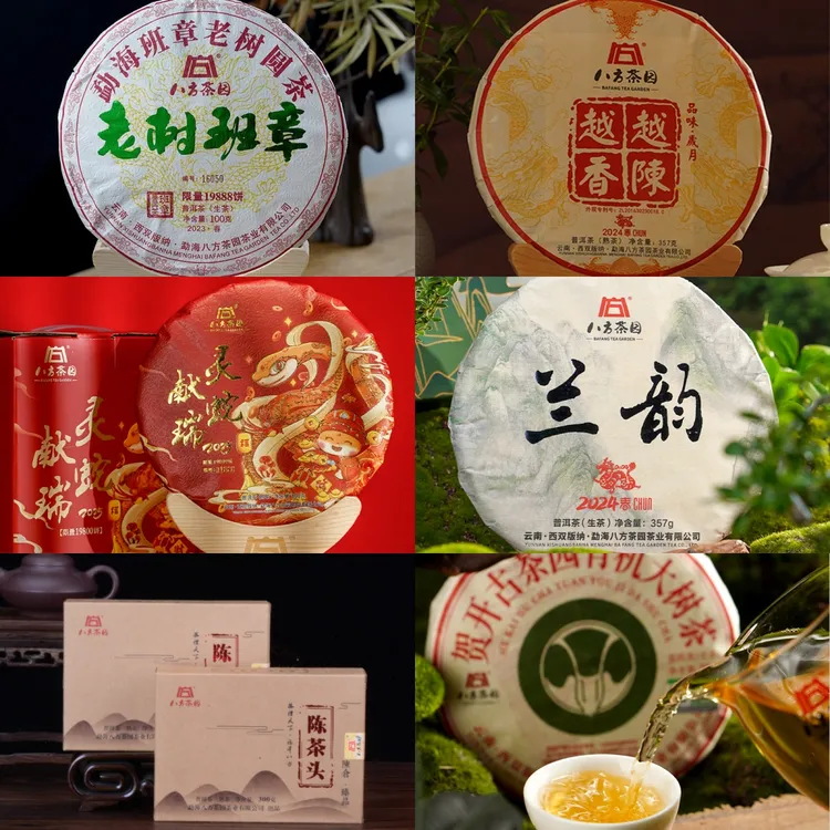 【兴悦良哥优选】勐海老树班章越陈越香普洱生茶熟茶茶饼国民口粮 