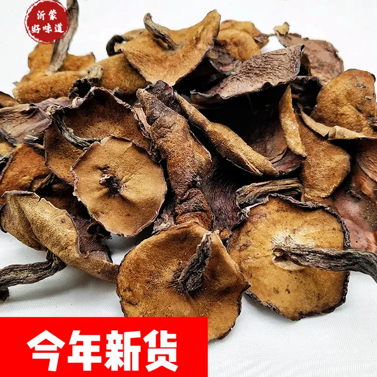 沂蒙山松菇松蘑菇干货野生菌山蛾子粘团子蘑菇炖鸡料野生山货特产