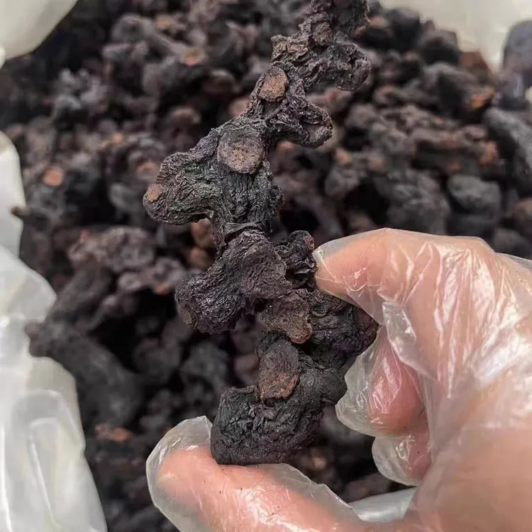 【九蒸九晒多花黄尖20多年】不加糖不加黄酒不加色素古法工艺云南菇