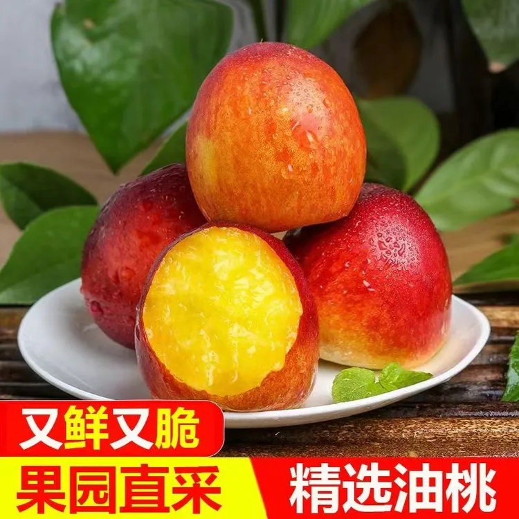 正宗黄心油桃果园现摘新鲜水果当季脆现摘正宗黄肉满天星麻子