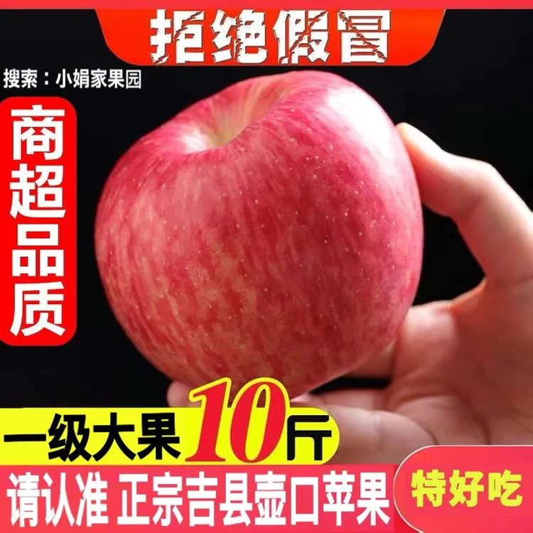 【假一赔十网红吉县壶口产地直发】山西吉县苹果壶口苹果脆甜多汁
