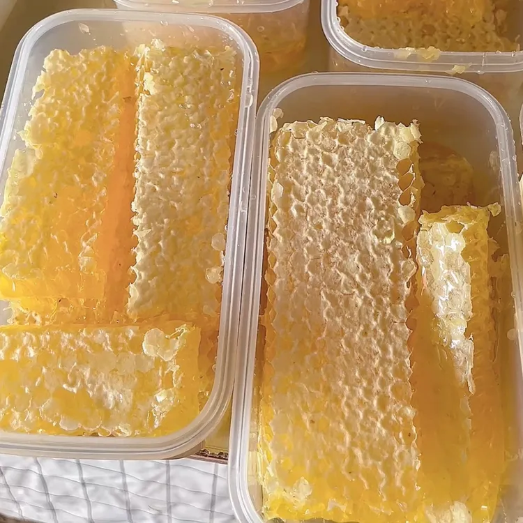 内蒙古现切成熟蜂巢蜜农家自产可整块嚼着吃500 g