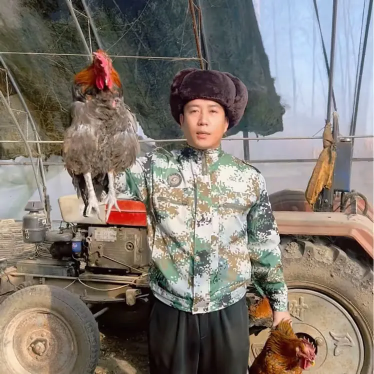 两只10斤农家散养土鸡大公鸡黑脚黄脚 带心肝胗送2包粉条商品图