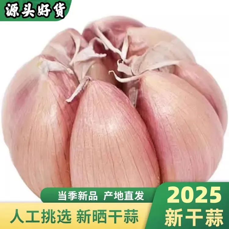 （新店冲量）农家干蒜5斤紫白皮山东特产干大蒜头1斤2斤3斤9斤可种