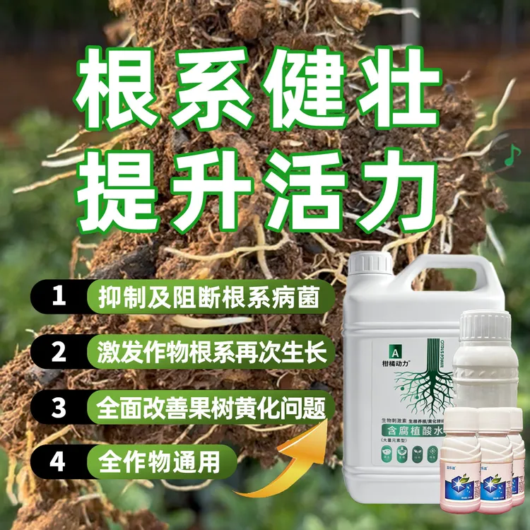 柑橘动力生根转绿套餐快速复壮生根促长预防根烂商品图